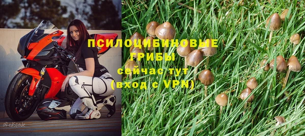 ALPHA-PVP Алексин