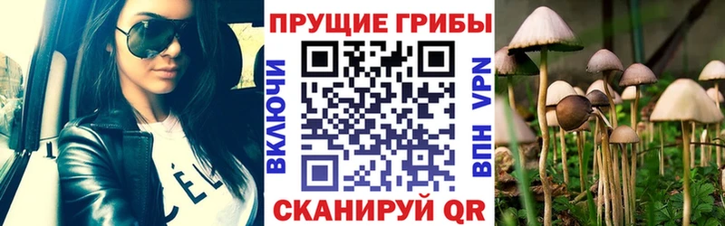 Галлюциногенные грибы GOLDEN TEACHER  маркетплейс наркотические препараты  Ханты-Мансийск 